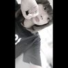 155._.yy