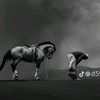 user4518760739709