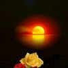 user610070586