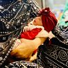 noorgullaghari