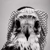ابو سلطانَ