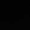 toorie005