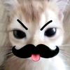 zal_xixi0