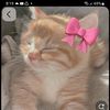 fabiha6320