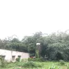 qwc.dung_