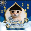 haidarangger2