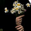 zahra_7ussain0