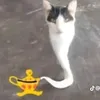 depchaidaitodung