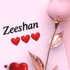 malikzeeshan3162