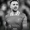 diogojota.16