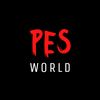 pes.world.tr