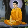 diu.quy53