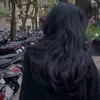 lylyhoang79