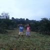 isral.mardidoni