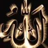 Islamic TikTok