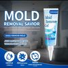 nomoremold2025