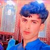 alisher32164