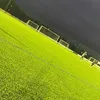 1hiding_in_the_shadows1