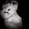 kiixzq_l