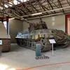 kingtiger308