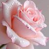 md.rafiqul.islam0167