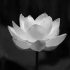 hoangtrunghoang78