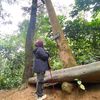 neng.lisna.wati6