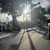 ngaycombacktrolai1
