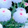 user1981278333121