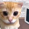 myowljewl