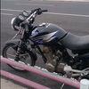 ariel_randis2
