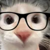 davyarianator