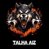 Talha Aiz ✌️