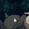 totoro.2518