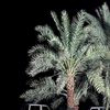 user1952655420516