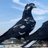 abbb2000qqa
