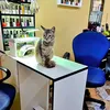 nadia.barbera.ara