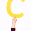 cajs63