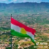 hasan67421