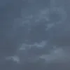 1z9.l