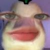 preciousgeninecab