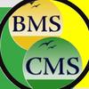 bms_cms