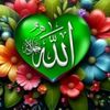 faisalkhan786138