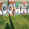50.nie