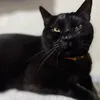 jrfrgg1