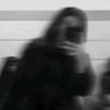 setaysh.h