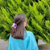 fatema.zrary
