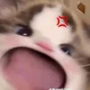 chuaconguoiyeuzz