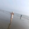 marle.p.a