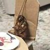 unknown_123.31